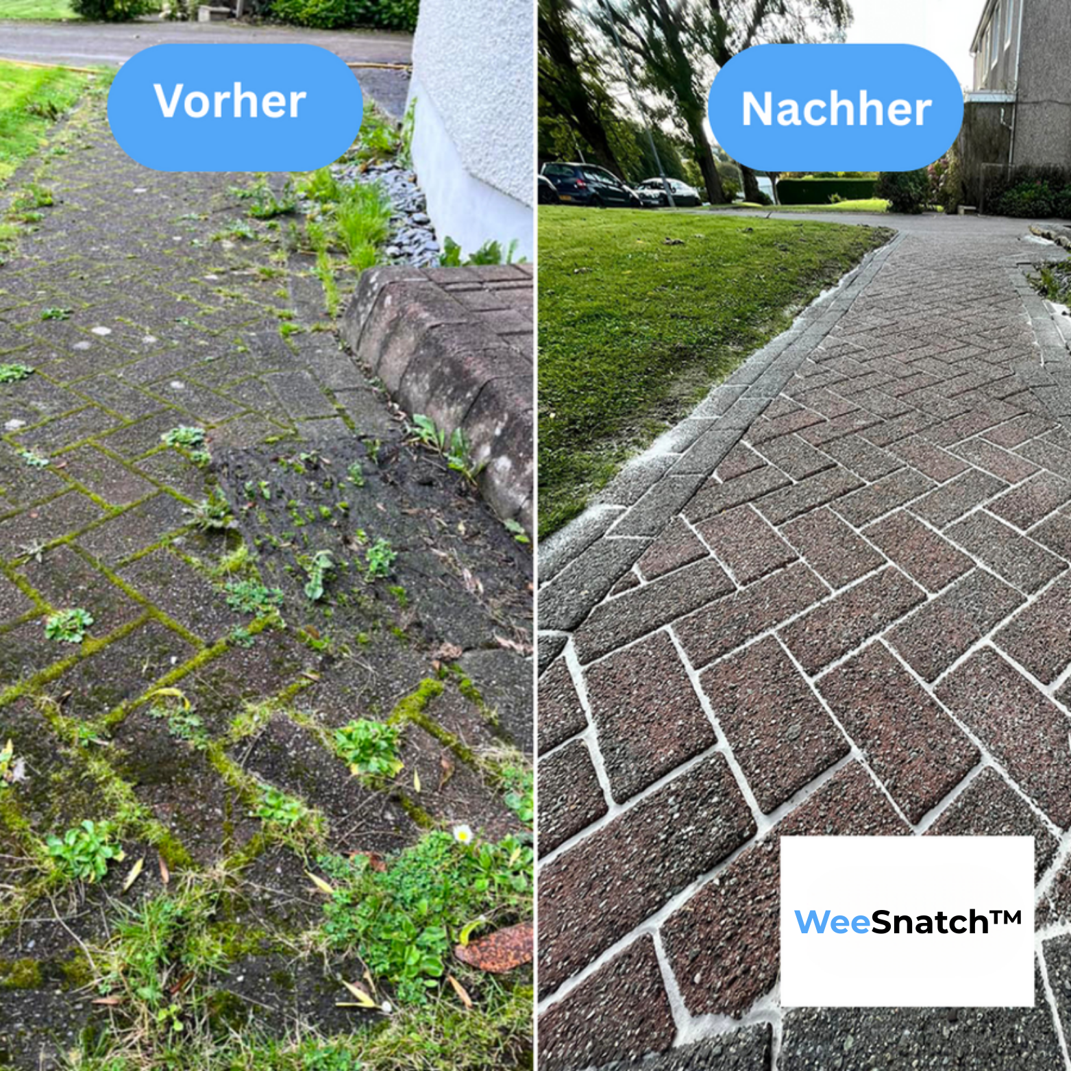 WeeSnatch™ | Unkraut-Entferner